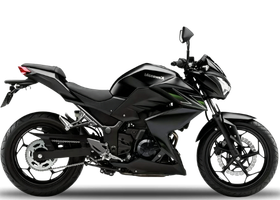Z 250